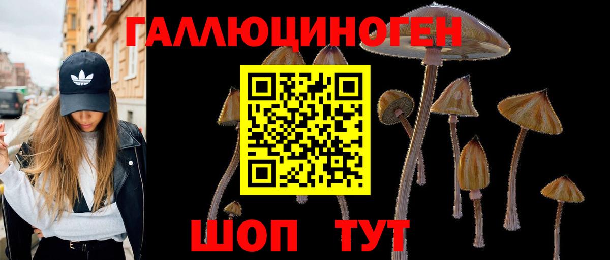 Галлюциногенные грибы Cubensis  Вход с VPN  Сухой Лог  Псилоцибиновые грибы Cubensis 